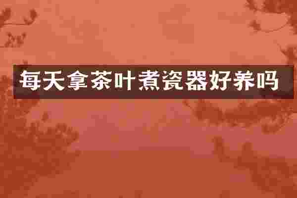 每天拿茶叶煮瓷器好养吗
