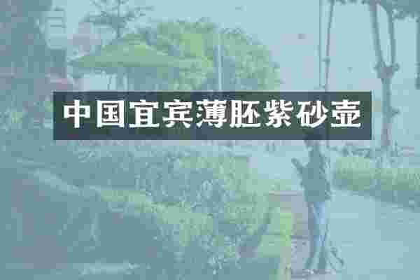 中国宜宾薄胚紫砂壶