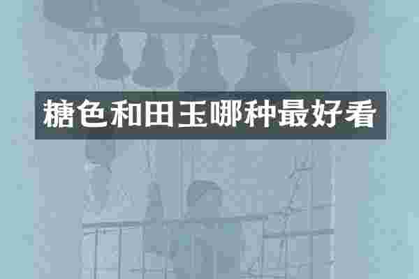 糖色和田玉哪种最好看