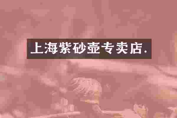 上海紫砂壶专卖店.