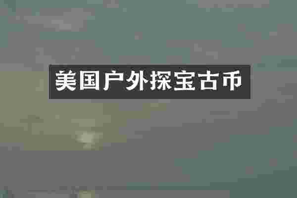 美国户外探宝古币