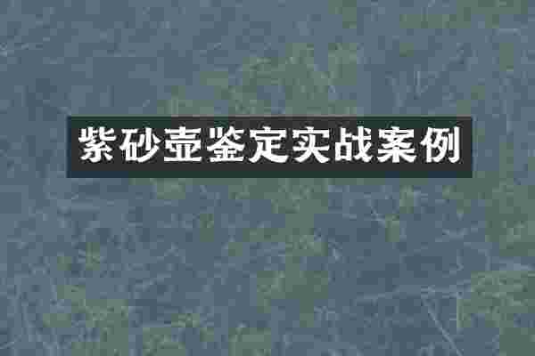 紫砂壶鉴定实战案例