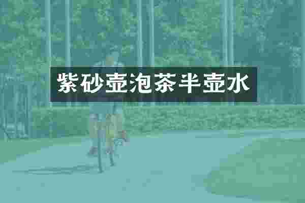 紫砂壶泡茶半壶水