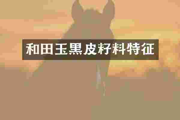 和田玉黑皮籽料特征