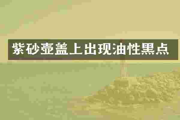 紫砂壶盖上出现油性黑点
