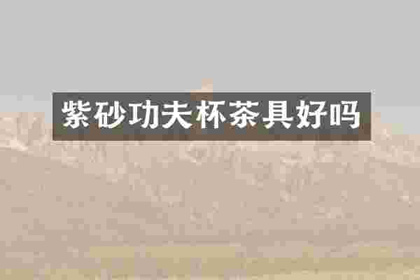 紫砂功夫杯茶具好吗