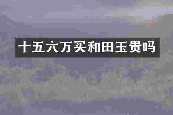 十五六万买和田玉贵吗