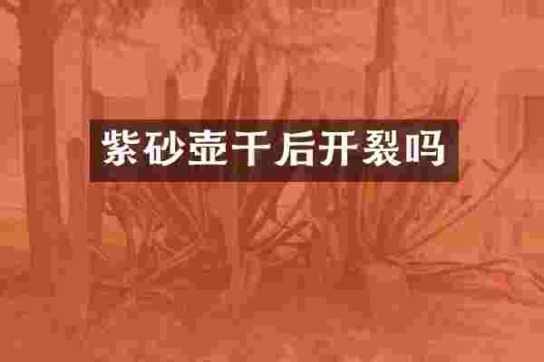 紫砂壶干后开裂吗