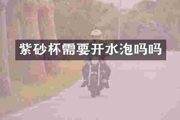 紫砂杯需要开水泡吗吗
