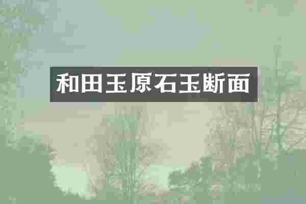 和田玉原石玉断面