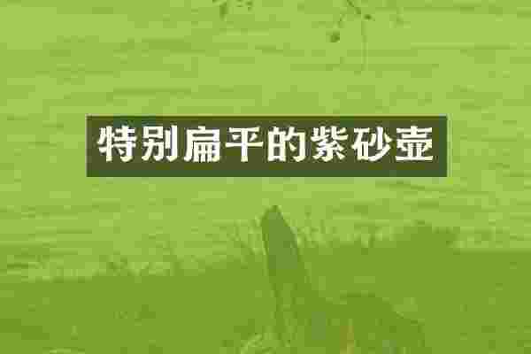 特别扁平的紫砂壶