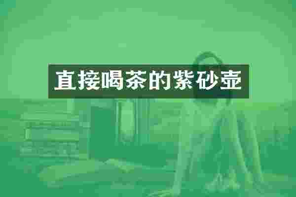 直接喝茶的紫砂壶