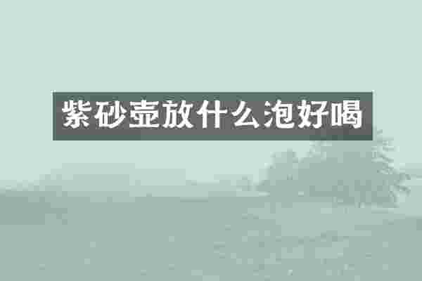 紫砂壶放什么泡好喝