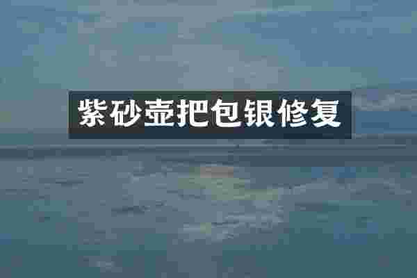 紫砂壶把包银修复