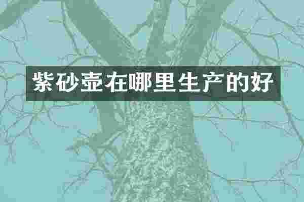 紫砂壶在哪里生产的好