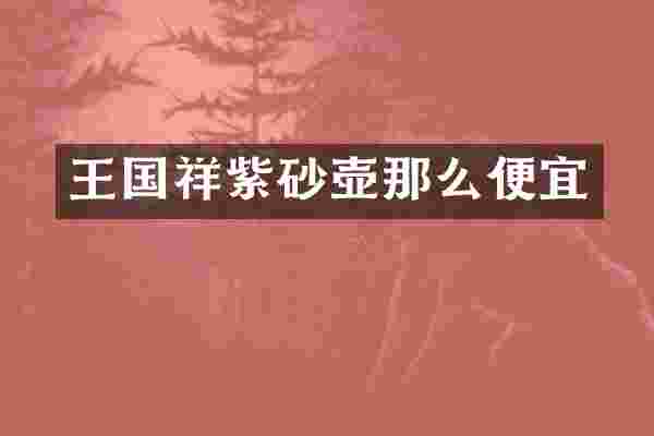 王国祥紫砂壶那么便宜