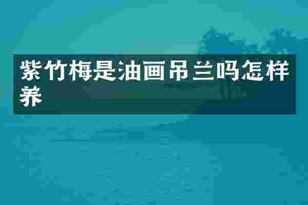 紫竹梅是油画吊兰吗怎样养