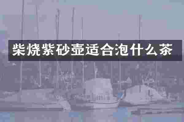 柴烧紫砂壶适合泡什么茶