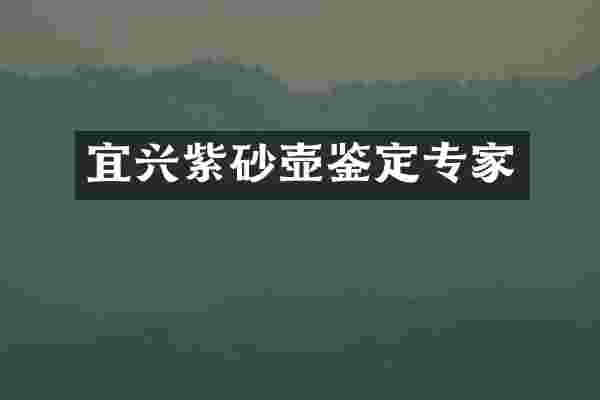 宜兴紫砂壶鉴定专家