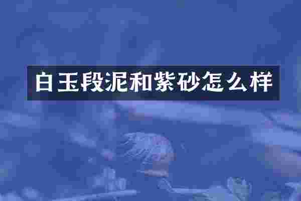 白玉段泥和紫砂怎么样