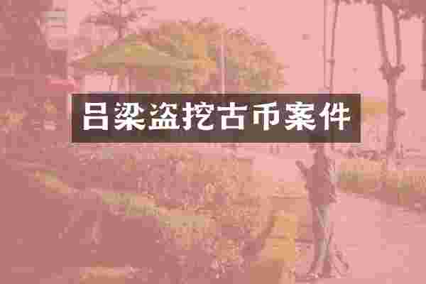 吕梁盗挖古币案件