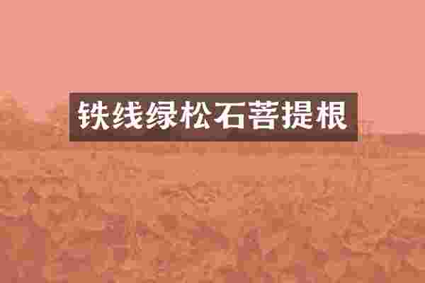 铁线绿松石菩提根