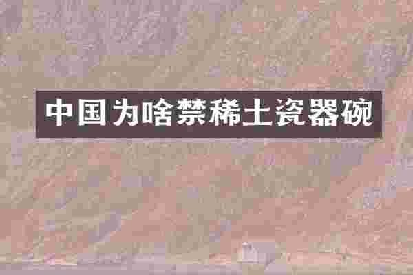 中国为啥禁稀土瓷器碗