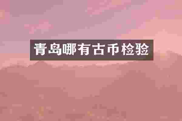 青岛哪有古币检验