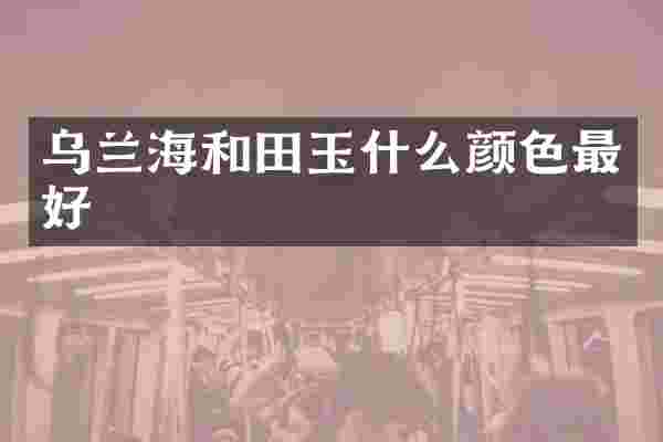 乌兰海和田玉什么颜色最好