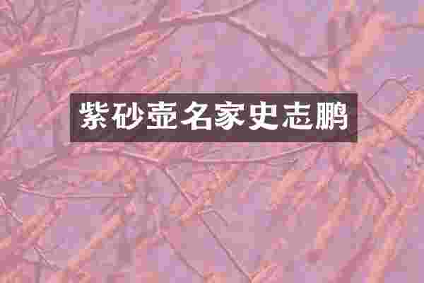 紫砂壶名家史志鹏