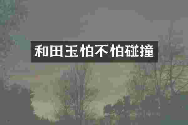 和田玉怕不怕碰撞