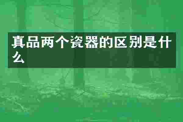 真品两个瓷器的区别是什么