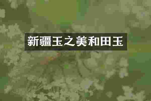 新疆玉之美和田玉