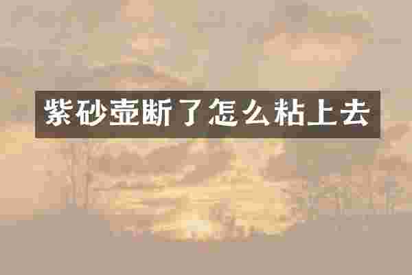 紫砂壶断了怎么粘上去