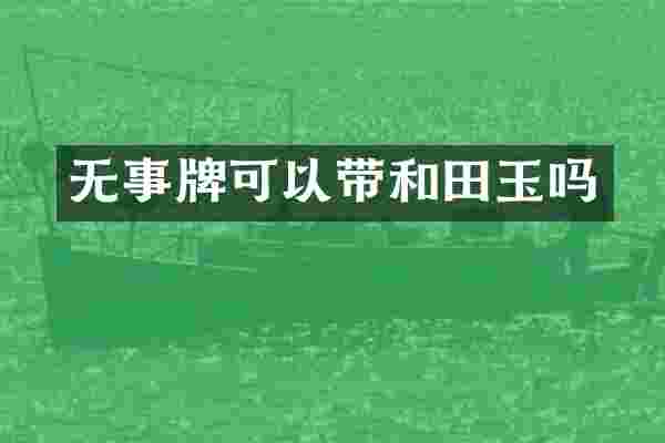 无事牌可以带和田玉吗