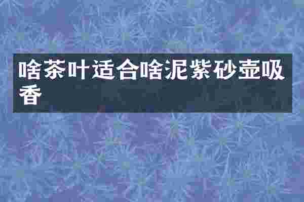 啥茶叶适合啥泥紫砂壶吸香