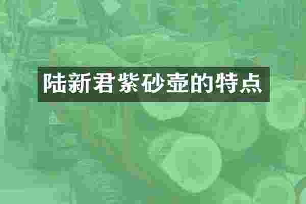 陆新君紫砂壶的特点