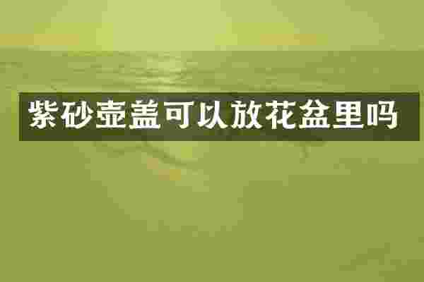 紫砂壶盖可以放花盆里吗