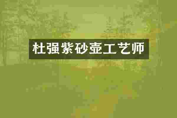 杜强紫砂壶工艺师