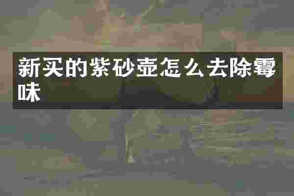 新买的紫砂壶怎么去除霉味