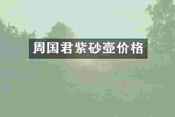 周国君紫砂壶价格