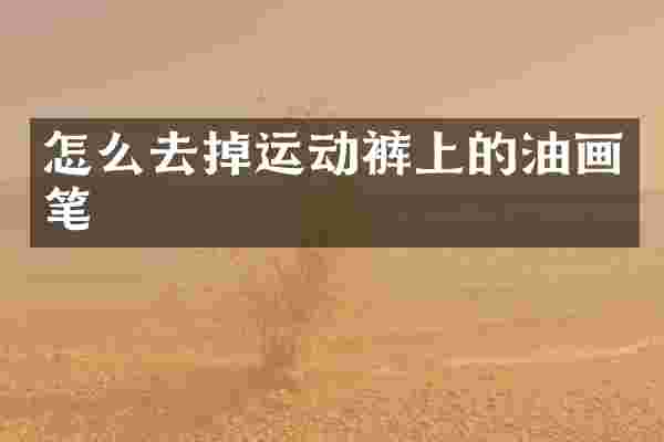 怎么去掉运动裤上的油画笔