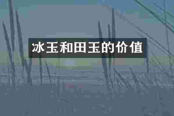 冰玉和田玉的价值