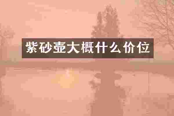 紫砂壶大概什么价位
