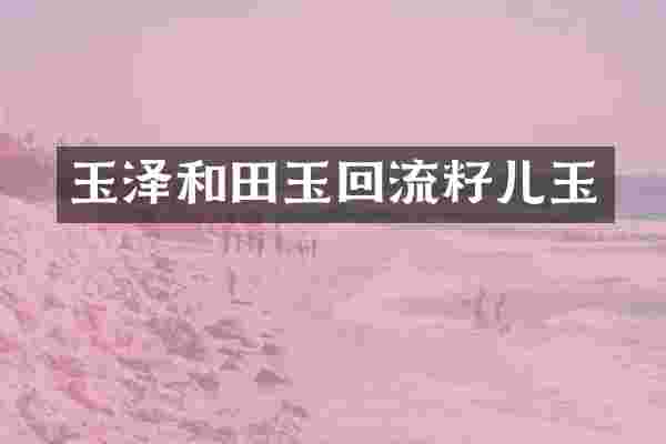 玉泽和田玉回流籽儿玉