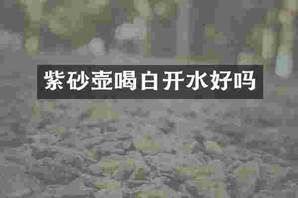 紫砂壶喝白开水好吗
