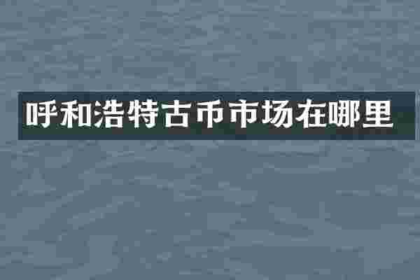 呼和浩特古币市场在哪里