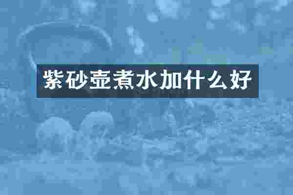 紫砂壶煮水加什么好