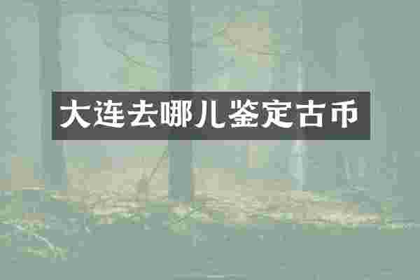 大连去哪儿鉴定古币