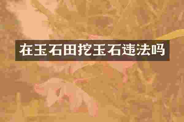 在玉石田挖玉石违法吗